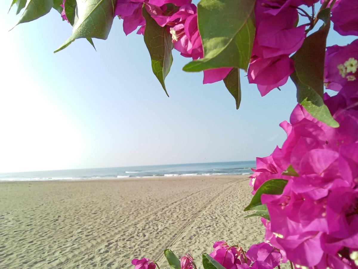 La Bouganville 파소스쿠로 외부 사진